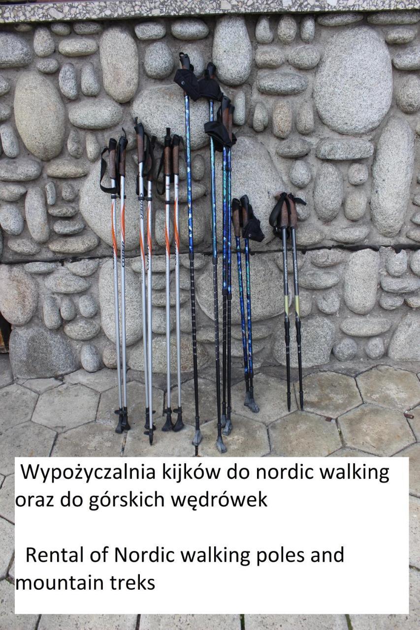 Willa Pod Zielonym Wierchem 자코파네 외부 사진
